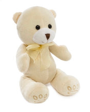 Teddy Bear Baby Paw Print